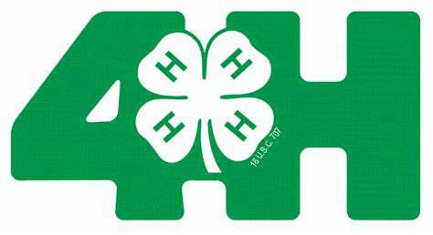 4H
